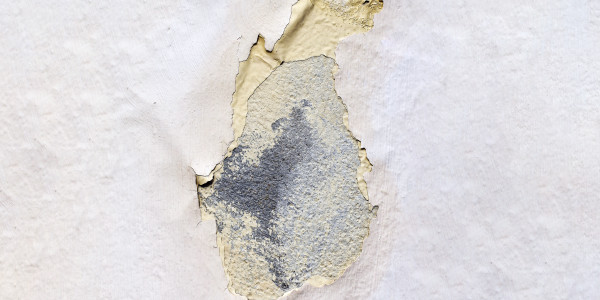 Pintar Fachadas de Empresas / Negocios / Locales Comerciales Ejea de los Caballeros · Impermeabilización de Filtraciones de Agua y Humedad