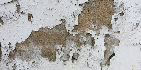 Pintar Fachadas de Empresas / Negocios / Locales Comerciales Ejea de los Caballeros · Pintura Antihumedad / Antimoho para Humedades / Moho